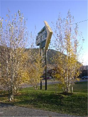 Teton Gables Motel Jackson Esterno foto